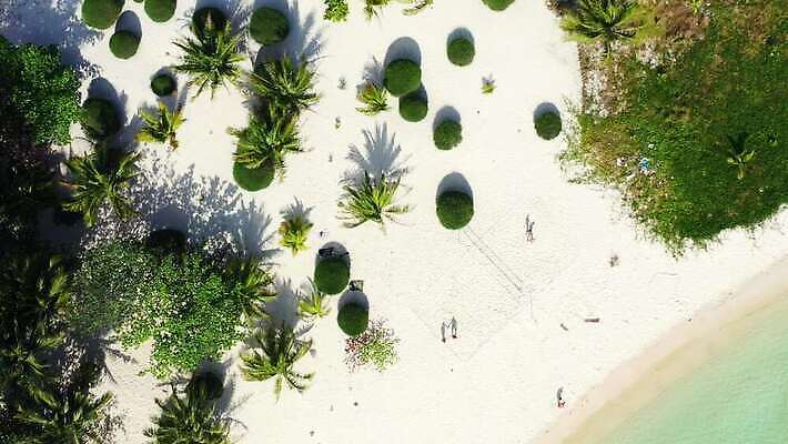 바다 섬 자연 휴가 여러명 해변 여름 모래사장 야자수 몰디브 말레이시아 4K MP4 해외동영상 클립영상 나무 계절 아시아 다수 사람 생태계 동영상 파일형식