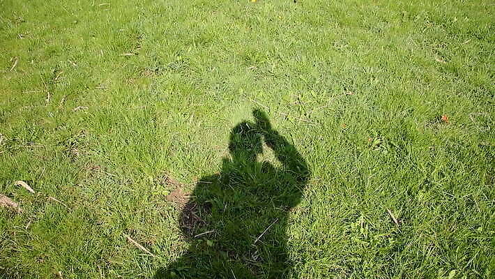 식물 손 계절 백그라운드 이동 컨셉 잎 밭 자연 아이디어 풍경 잔디 초원 사람없음 야외 초록색 여름 빛 컬러풀 환경 정원 봄 성장 신선 메시지 땅 질감 내추럴 카피스페이스 MOV 해외동영상 클립영상 컬러 농업 신체부위 공백 생태계 동영상 파일형식