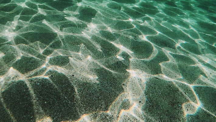 동물 야생동물 바다 컬러 여행 백그라운드 자연 멕시코 어류 사람없음 빨간색 물 여름 파란색 빛 햇빛 태양 뷰티 수중 수영 광선 동굴 산호 아래 사진사 생태계 다이빙 장면 암초 깊이 칸쿤 4K 수중영상 MOV 해외동영상 클립영상 자연요소 계절 북아메리카 수중동물 수상스포츠 자포동물 방향 작가 위치 동영상 수중스포츠 파일형식