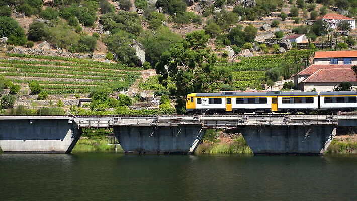 유럽 여행 모션 자연 사람없음 야외 옆모습 초록색 골짜기 계곡 손상 기차 시골 수리 크루즈 포르투갈 언덕 포도나무 마차 계단식 추적 도루강 선로 양조장 4K MOV 해외동영상 클립영상 나라 육상교통 교통수단 뷰포인트 컬러 컨셉 배_교통 대중교통 과일나무 생태계 동영상 파일형식