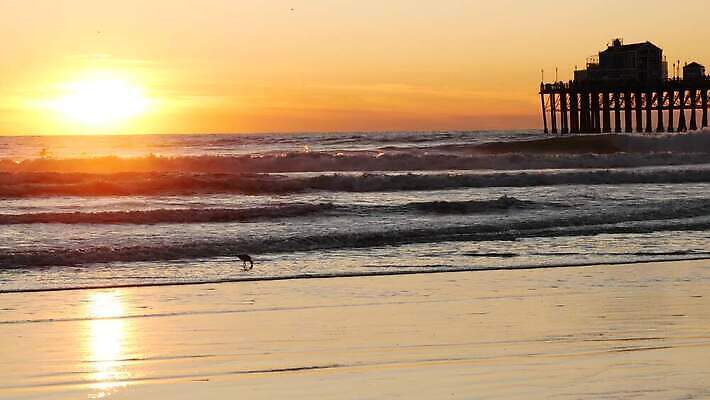실루엣 파도 바다 갈매기 휴가 사람없음 목재 옆모습 뒷모습 여름 빛 햇빛 태양 반사 항구 맑음 미국 일몰 서핑 캘리포니아 주말 서퍼 4K 오션사이드 MP4 해외동영상 클립영상 자연요소 나무 계절 뷰포인트 북아메리카 재료 교통시설 조류 날씨 운동선수 촬영기법 노을 수상스포츠 동영상 파일형식