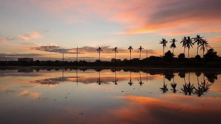 나무 식물 전통 호수 컬러 섬 여행 자연 휴가 휴식 손바닥 사람없음 야외 물 강 반사 환경 고요 개울 습지 땅 순수 코코넛 고립 민물 이국적 수평선 4K MP4 해외동영상 클립영상 자연요소 손 컨셉 과일 생태계 동영상 파일형식