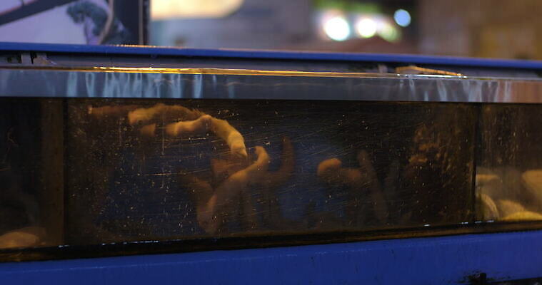 동물 아시아 음식 바다 한국 사람없음 물 상점 시장 해산물 날것 탱크 수족관 생존 4K MOV 해외동영상 클립영상 자연요소 나라 동영상 파일형식