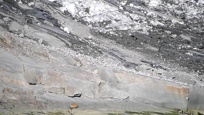 야생동물 자연 갈매기 사람없음 야외 평화 빙하 그린란드 패닝샷 MOV 해외동영상 클립영상 동물 섬 컨셉 조류 촬영기법 덴마크 생태계 동영상 파일형식
