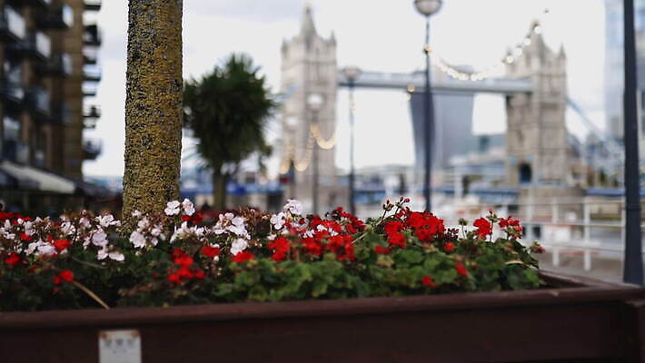 주간 나무 구름 꽃 유럽 상징 여행 건축양식 자연 하늘 아침 영국 잉글랜드 파노라마 풍경 사람없음 건물 물 빛 강 도시풍경 햇빛 고층빌딩 도시 역사 심볼 런던 스카이라인 천연기념물 랜드마크 수도권 왕국 템스강 4K MOV 해외동영상 클립영상 자연요소 식물 건축물 건축 나라 촬영기법 빌딩 태양 생태계 지역 동영상 파일형식