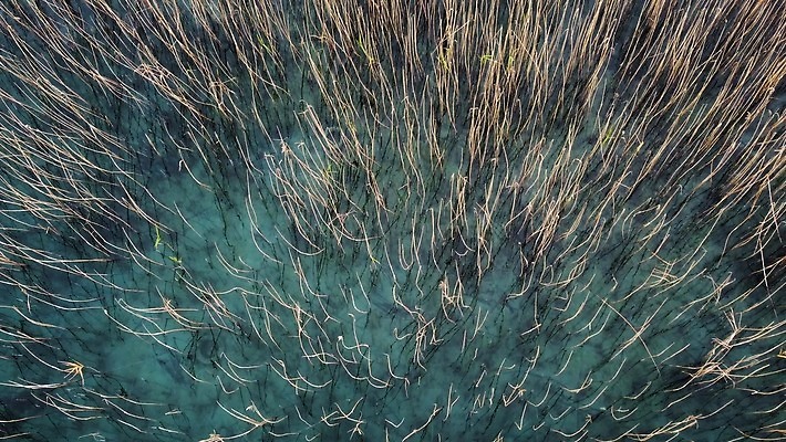 식물 동물 유럽 호수 여행 자동차 자연 표면 휴가 바닥 안테나 빨대 사람없음 야외 물 파란색 강 반사 노란색 평화 환경 침묵 연못 신선 오염 쓰레기 타이어 장면 암초 북쪽 밀짚 드론 마케도니아 발칸반도 4K MP4 해외동영상 클립영상 자연요소 나라 육상교통 컬러 컨셉 통신 소리 짚 방향 생태계 동영상 파일형식 남유럽