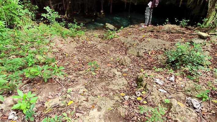 나무 식물 공원 야생동물 여행 백그라운드 잎 가이드 모션 자연 선인장 국립공원 한명 풍경 야외 목재 초록색 물 여름 강 걷기 환경 개울 동굴 숲 열대우림 내추럴 도미니카공화국 이국적 4K MP4 해외동영상 클립영상 자연요소 동물 직업 1 계절 공공시설 컬러 재료 사람 남아메리카 생태계 동영상 파일형식