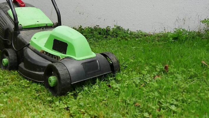 밭 주택 사람 잔디 사람없음 야외 초록색 여름 환경 정원 맑음 기계 봄 장비 성장 공구 업무 자르기 서비스 원예 조경 모터 다듬기 돌봄 뒤뜰 땅바닥 원예사 커터 4K MP4 해외동영상 클립영상 식물 직업 계절 컬러 농업 모션 날씨 바닥 취미 건물 도구 작업 동영상 파일형식