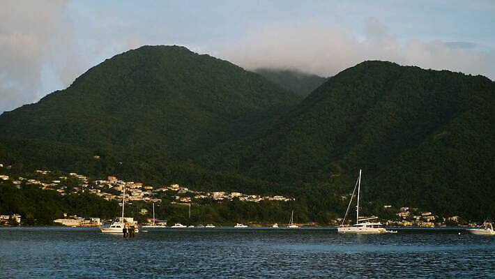 바다 섬 열대 사람없음 열대우림 자메이카 4K MOV 해외동영상 클립영상 북아메리카 숲 동영상 파일형식
