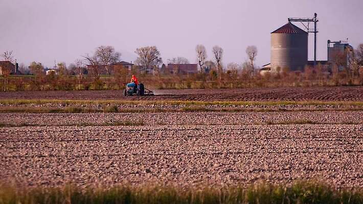 식물 계절 산업 지구 밭 농업 자연 하늘 옥수수 씨앗 한명 야외 초록색 농작물 농장 농경지 농사 기계 흙 봄 장비 수확 성장 시골 업무 농부 결합 낟알 땅 밀 장면 트랙터 밀짚 내추럴 밭일 쟁기 세련 4K MP4 해외동영상 클립영상 직업 1 컬러 곡류 사람 작업 짚 농기계 생태계 특수차량 동영상 파일형식