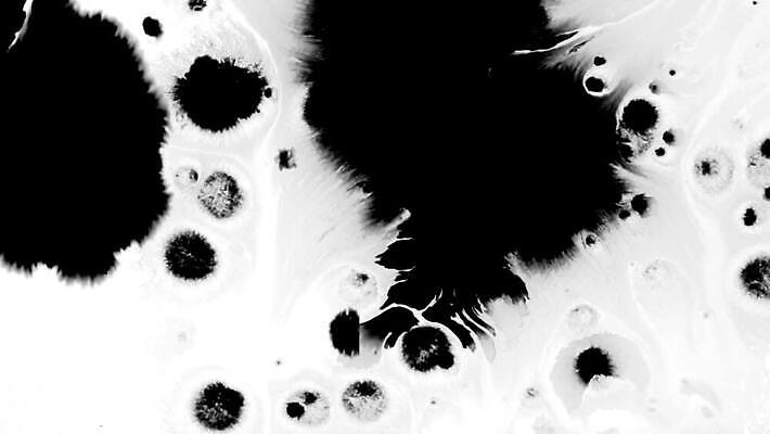 꽃 백그라운드 캘리그라피 추상 수채화 잉크 흑백 미술 사람없음 물 뷰티 검은색 페인트 펼침 젖음 흐름 흰색 얼룩 액체 혈액 변화 떨어짐 혼합 질감 합성 머리위 활기 내추럴 효과 MOV 해외동영상 클립영상 자연요소 식물 컬러 컨셉 무늬 모션 문화예술 촬영기법 동영상 파일형식