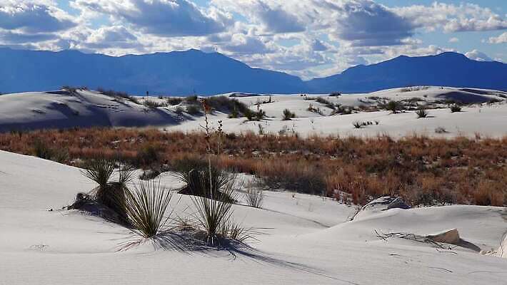 식물 공원 모래 조각 여행 가이드 자연 하늘 새로움 건조 풍경 사람없음 파란색 모래사장 미국 일몰 사막 흰색 역사 모래언덕 언덕 질감 치와와 기념물 천연기념물 내추럴 뉴멕시코 잔물결 전국 지질학 4K MP4 해외동영상 클립영상 직업 공공시설 교육 물결 바다 컬러 컨셉 북아메리카 노을 개 생태계 동영상 파일형식