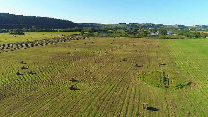 나무 밭 농업 자연 하늘 안테나 풍경 초원 사람없음 초록색 여름 파란색 농작물 농장 노란색 맑음 수확 가을 시골 황금 건초더미 볏짚 숲 낟알 땅 밀 회전 뭉치 밀짚 내추럴 드론 4K MOV 해외동영상 클립영상 식물 계절 산업 컬러 통신 날씨 곡류 건초 짚 생태계 동영상 파일형식 더미