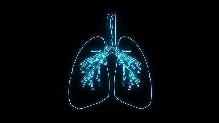 여자 과학 신체 해부 건강 사람 성인 사람없음 그래픽 물 숫자 약 디지털 손상 고통 환자 하트 긴급 액체 오르간 균열 호흡기관 호흡 질병 위험 심볼 사인 시스템 문제 애니메이션 산소 고문 천식 홀로그램 4K MOV 해외동영상 클립영상 자연요소 모양 문자 감정 컨셉 의학 모션 장기_의학 원소 건반악기 동영상 파일형식