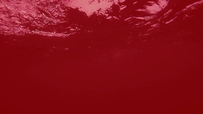 물결 파도 백그라운드 이동 모션 추상 잉크 사람없음 빨간색 물 수중 페인트 활발 거품 펼침 젖음 흐름 소용돌이 뜨거움 투명 액체 혈액 붓기 떨어짐 더위 신비 아래 순수 흔들림 질감 회전 화산 번짐 마법 빛망울 강렬 깊이 4K 유체 MOV 해외동영상 클립영상 자연요소 바다 컬러 컨셉 무늬 날씨 산 빛 회오리 방향 위치 동영상 파일형식 효과