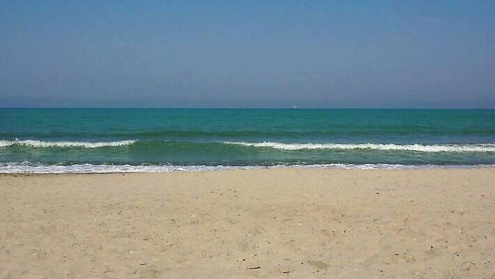 외관 모래 파도 바다 컬러 섬 백그라운드 조류 하늘 날씨 사람 해변 사람없음 물 모래사장 햇빛 태양 평화 환경 맑음 뜨거움 하와이 태평양 갸우뚱 격파 파라다이스 하와이인 수평선 4K MP4 해외동영상 클립영상 자연요소 외국인 동물 컨셉 모션 미국 동영상 파일형식