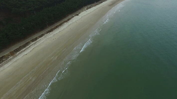 나무 선 모래 파도 바다 여행 백그라운드 자연 휴가 휴식 한국 손바닥 사람없음 야외 건물 초록색 물 파란색 여행객 평화 침묵 흰색 고도 태평양 항공촬영 드론 비어있는 4K MOV 해외동영상 클립영상 자연요소 식물 건축물 손 아시아 뷰포인트 컬러 컨셉 사람 소리 생태계 동영상 파일형식