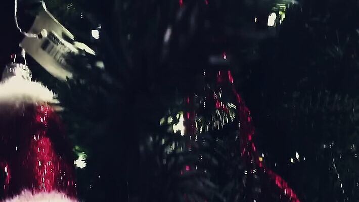 나무 외관 유럽 여행 크리스마스 건축양식 창문 교통시설 호텔 휴가 거리 사람없음 건물 장식 쇼핑 여행객 상점 식당 도시 역사 고급 도심 벨기에 타운 대도시 일반 구시가지 랜드마크 부티크 브뤼셀 유럽연합 전국 MOV 해외동영상 클립영상 식물 건축물 기념일 건축 나라 교통 컨셉 숙소 사람 시설 동영상 서유럽 파일형식