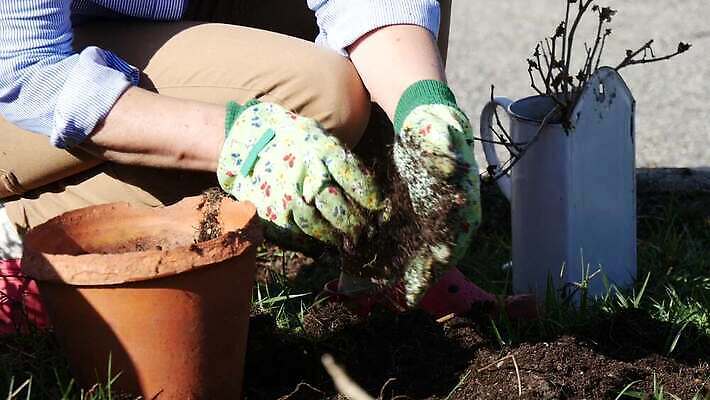 식물 백인 손 여자 꽃 화분 지구 컨셉 농업 자연 사람 야외 초록색 환경 정원 흙 봄 냄비 심볼 유기농 원예 먼지 심기 옛날 파종 4K MP4 해외동영상 클립영상 서양인 웰빙 계절 산업 컬러 모션 취미 신체부위 농사 솥 생태계 동영상 파일형식