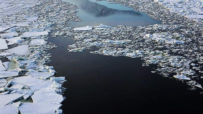계절 바다 겨울 모션 자연 풍경 사람없음 야외 물 냉동 얼음 새벽 추위 흰색 녹음 시원함 북극 단절 발트해 MOV 해외동영상 클립영상 자연요소 컬러 북유럽 기록 극지방 생태계 동영상 파일형식