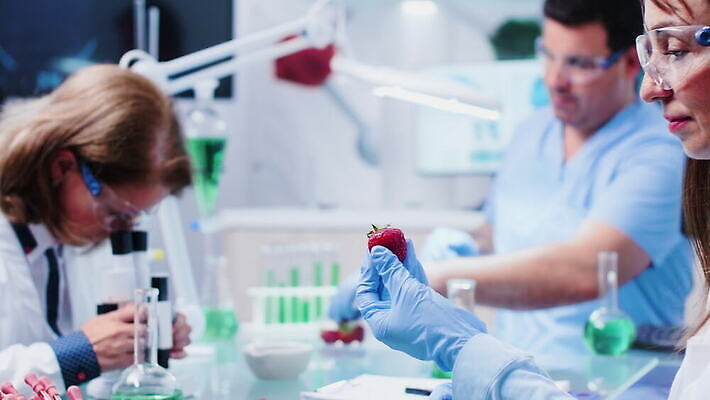 식물 직업 응시 산업 과학 딸기 노동자 건강 병원 현미경 실험 안전 사람 약 장비 시험 의사 코트 작업 실험실 생명공학 연구원 과학자 유기농 생물학 공학 조제 내추럴 개발 유전 유전자변형 4K MOV 해외동영상 클립영상 웰빙 시선 교육 과일 의학 실험기구 외투 의료진 만들기 동영상 학자 파일형식