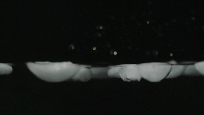 스튜디오촬영 과학 백그라운드 컨셉 표면 추상 실험 사람없음 옆모습 물 얼음 검은색 수중 거품 액체 큐브 오브젝트 상승 반전 고체 물리학 중력 효과 MOV 해외동영상 슬로모션 클립영상 자연요소 교육 뷰포인트 컬러 무늬 촬영기법 실내 동영상 물리 파일형식