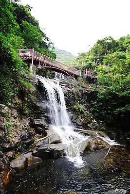 포토 JPG 해외이미지 나무 식물 공원 꽃 아시아 여행 잎 꽃무늬 자연 휴식 동양인 풍경 사람없음 야외 빨간색 초록색 물 여름 컬러풀 평화 환경 정원 침묵 고요 폭포 흐름 가을 바위 연못 개울 정상 시원함 속도 장면 내추럴 해외202004 해외포토 자연요소 계절 공공시설 나라 컬러 컨셉 무늬 인종 강 소리 돌_바위 생태계 파일형식