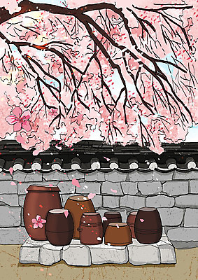 PSD 꽃잎 분홍색 일러스트 사람없음 봄풍경 봄 벚꽃 항아리 벚나무 낙화 기와담장 국내일러스트 나무 계절 꽃 컬러 기와 풍경 담장 도자기 파일형식