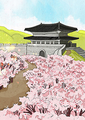 PSD 꽃잎 분홍색 일러스트 사람없음 봄풍경 봄 벚꽃 성 벚나무 낙화 국내일러스트 나무 건축물 계절 꽃 컬러 풍경 파일형식