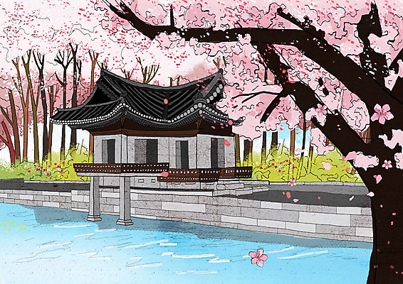 PSD 꽃잎 분홍색 고건축 한국건축 일러스트 한옥 사람없음 봄풍경 봄 벚꽃 연못 성 벚나무 낙화 국내일러스트 나무 한국전통 건축물 계절 건축 꽃 컬러 풍경 파일형식