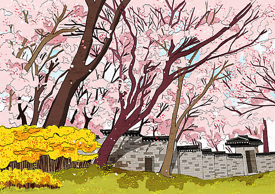 PSD 분홍색 일러스트 사람없음 봄풍경 봄 벚꽃 벚나무 성곽길 국내일러스트 나무 계절 꽃 길 컬러 풍경 파일형식