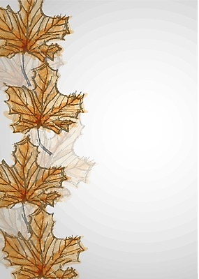 EPS 해외이미지 나무 식물 손 디자인 계절 백그라운드 단풍 잎 일러스트 자연 추상 잉크 미술 목재 그래픽 수확 가을 낙서 스케치 오브젝트 그림 복고 그런지 엘리먼트 옛날 핸드메이드 해외202004 해외일러스트 무늬 농업 재료 문화예술 신체부위 생태계 파일형식 벡터