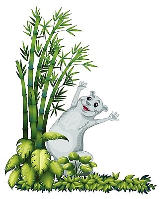 EPS 해외이미지 나무 식물 동물 캐릭터 백그라운드 잎 일러스트 포유류 자연 생물 수염 프레임 관리 그래픽 초록색 환경 힘 흰색 입 막대기 치아 만화 대나무 그림 코 귀 서식지 리빙 내추럴 고립 양치류 복부 국경 해외202004 해외일러스트 일러캐릭터 컬러 신체부위 소화기관 생태계 파일형식 벡터