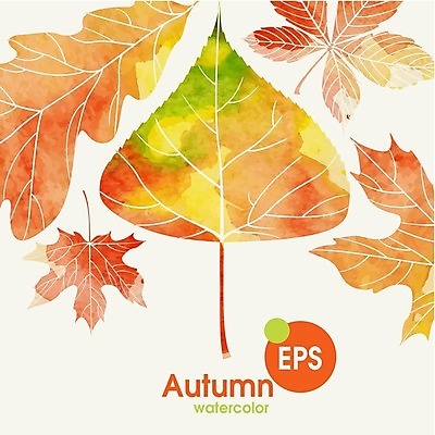 EPS 해외이미지 식물 백그라운드 단풍 잎 일러스트 자연 수채화 사람없음 빨간색 초록색 노란색 가을 밤 해외202004 해외일러스트 계절 컬러 견과류 생태계 파일형식 벡터
