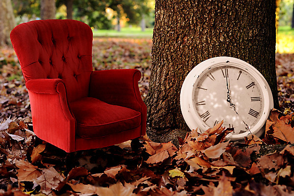 포토 JPG 해외이미지 나무 응시 계절 공원 시계 가구 백그라운드 컨셉 단풍 잎 의자 자연 휴식 아이디어 사람없음 야외 목재 책 빨간색 소파 햇빛 유행 환경 수확 골동품 가을 시간 역사 변화 숲 복고 내추럴 옛날 스타일 방식 해외202004 해외포토 식물 시선 공공시설 컬러 생활용품 농업 재료 태양 생태계 파일형식