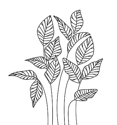 EPS 해외이미지 모양 나무 식물 디자인 백그라운드 컨셉 잎 일러스트 프레임 미술 사람없음 그래픽 장식 초록색 낭만 우아함 초대 손그림 그리너리 해외202004 해외일러스트 컬러 문화예술 파일형식 벡터 트랜드컬러