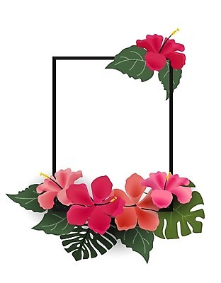 EPS 해외이미지 식물 디자인 꽃 꽃다발 여행 백그라운드 잎 꽃무늬 패턴 일러스트 프레임 손바닥 미술 사람없음 그래픽 장식 초록색 패턴백그라운드 흰색 그림 하와이 초대 이국적 파라다이스 히비스커스 알로하 해외202004 해외일러스트 손 컬러 무늬 문화예술 미국 인사 파일형식 벡터