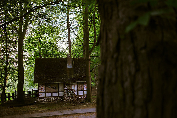 포토 JPG 해외이미지 외관 공원 사람없음 야외 건물 목재 여름 갈색 문 미국 방 욕실 숲 화장실 시설 변기 멀리 일반 내추럴 변기통 사생활 전국 콜로라도 해외202004 해외포토 나무 건축물 계절 공공시설 컬러 북아메리카 재료 파일형식