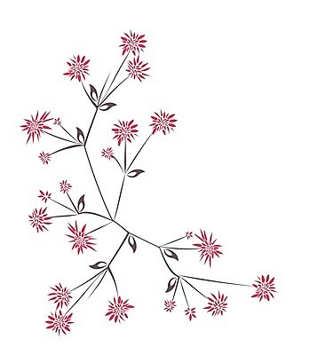 EPS 해외이미지 식물 디자인 꽃 선 백그라운드 잎 꽃무늬 곡선 일러스트 추상 미술 초원 사람없음 그래픽 장식 낭만 흰색 우아함 윤곽 해외202004 해외일러스트 컬러 컨셉 무늬 문화예술 파일형식 벡터