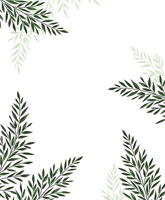 EPS 해외이미지 식물 디자인 줄기 백그라운드 잎 일러스트 프레임 미술 사람없음 그래픽 장식 초록색 흰색 시골 우아함 그림 양치류 그리너리 국경 해외202004 해외일러스트 컬러 컨셉 문화예술 파일형식 벡터 트랜드컬러