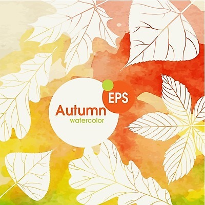 EPS 해외이미지 식물 백그라운드 단풍 잎 일러스트 자연 수채화 사람없음 빨간색 초록색 노란색 가을 기름 밤 해외202004 해외일러스트 계절 음식 컬러 견과류 생태계 파일형식 벡터