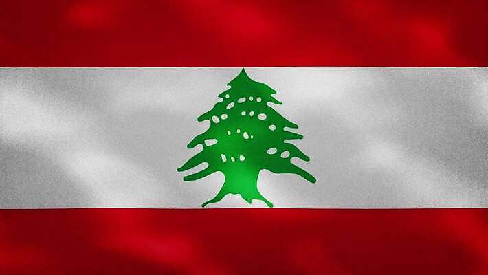 디자인 여행 백그라운드 이동 모션 날리기 바람 사랑 사람없음 초록색 빛 깃발 직물 우승 만화 심볼 디지털합성 사인 질감 순환 애니메이션 애국심 삼나무 엘리먼트 필승 4K MOV 해외동영상 클립영상 자연요소 나무 감정 컬러 컨셉 날씨 최고 동영상 파일형식