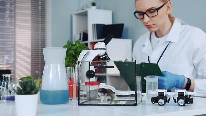 여자 안경 현미경 실험 한명 관찰 확대 컨테이너 천 과학자 유기농 생물학 튜브 화학물질 4K MOV 해외동영상 클립영상 직업 1 웰빙 잡화 교육 산업 과학 모션 실험기구 사람 직물 화학 동영상 학자 파일형식