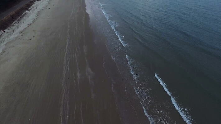 나무 선 모래 파도 바다 여행 백그라운드 자연 휴가 휴식 한국 손바닥 사람없음 야외 건물 초록색 물 파란색 여행객 평화 침묵 흰색 고도 태평양 항공촬영 드론 비어있는 4K MOV 해외동영상 클립영상 자연요소 식물 건축물 손 아시아 뷰포인트 컬러 컨셉 사람 소리 생태계 동영상 파일형식