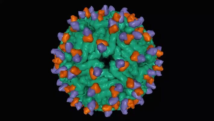 모양 모델 컬러 과학 백그라운드 패턴 모션 표면 검은배경 봉투 건강 사람없음 그래픽 초록색 컬러풀 약 3D 바이러스 질병 생물학 회전 감염 미생물 애니메이션 기하학 고립 단백질 대칭 돌리기 복잡 엘리먼트 규칙적 MP4 해외동영상 클립영상 교육 컨셉 무늬 의학 생물 검은색 디지털합성 동영상 영양소 파일형식
