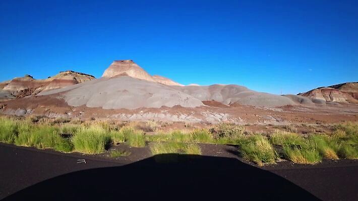 식물 공원 도로 교통수단 여행 백그라운드 이동 교통시설 자동차 자연 하늘 산 거리 파노라마 사람없음 야외 빨간색 정원 골짜기 계곡 미국 하이킹 운전 사막 시골 고속도로 캘리포니아 애리조나 봉황 MOV 해외동영상 클립영상 공공시설 길 육상교통 컬러 교통 컨셉 북아메리카 모션 레저 촬영기법 시설 생태계 동영상 파일형식