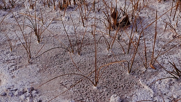 지구 백그라운드 오렌지 자연 표면 건조 사람없음 빨간색 갈색 환경 흙 사막 뜨거움 거친 황무지 균열 땅 부식 질감 먼지 점토 진흙 가뭄 다리찢기 내추럴 깨짐 땅바닥 생태학 탈수 4K MP4 해외동영상 클립영상 교육 컬러 컨셉 과일 모션 날씨 바닥 생태계 동영상 파일형식