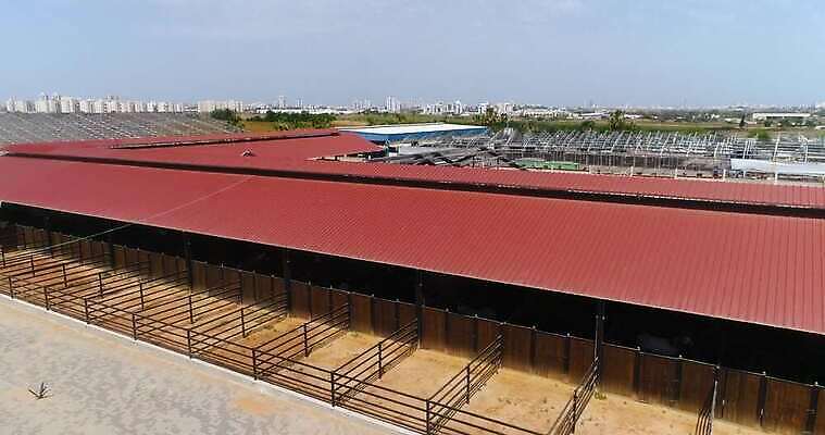 동물 라이프스타일 디자인 도로 야생동물 스포츠 건축양식 포유류 자연 부동산 주택 사람없음 야외 가로 초록색 울타리 운동 농가 농경지 가축 목장 시골 황무지 승마 재산 카우보이 승차 큼 기수 외양간 되감기 라이더 서쪽 오지 조감도 4K MOV 해외동영상 클립영상 건축 길 컬러 교통시설 모션 건강 건물 생활 금융 담장 농장 크기 방향 생태계 동영상 파일형식