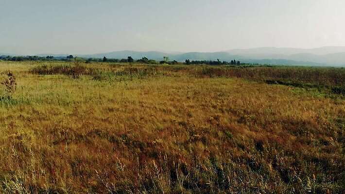 나무 식물 계절 잎 자연 하늘 안테나 사람없음 야외 초록색 물 환경 안개 덮개 만 보행로 습지 지중해 관목 언덕 흔들림 서식지 창백 드론 파스텔톤 4K MP4 해외동영상 클립영상 자연요소 길 바다 컬러 통신 모션 날씨 뚜껑 생태계 동영상 파일형식