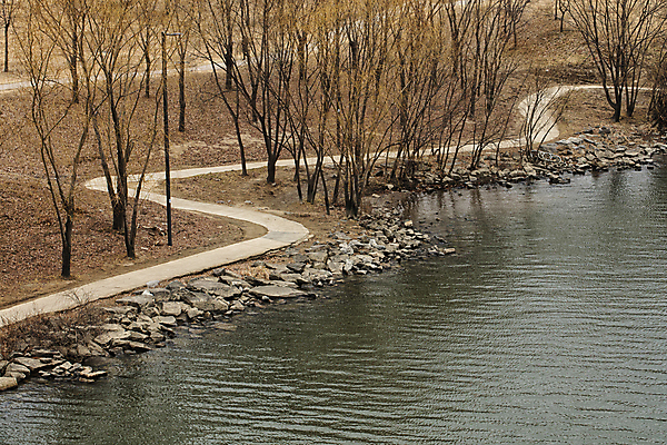 포토 JPG 주간 나무 풍경 사람없음 야외 강 고요 산책로 강가 오솔길 국내포토 자연요소 식물 길 파일형식